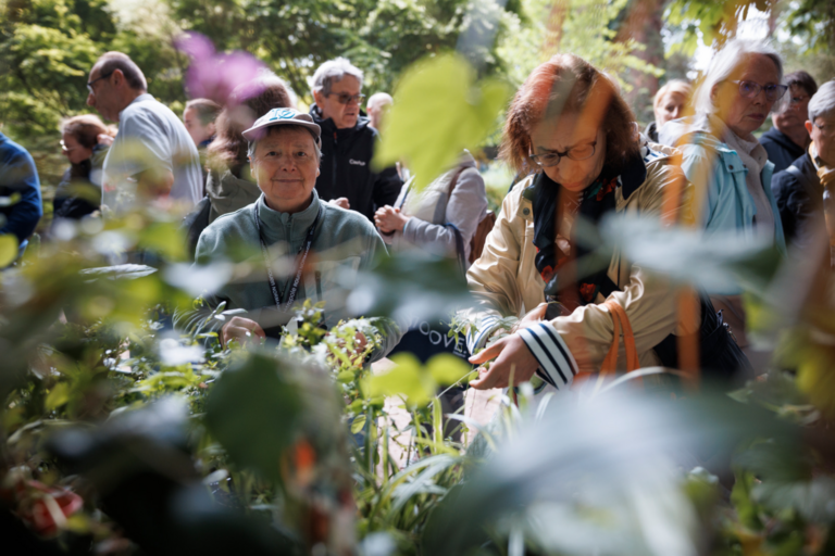 17e festival Graines de jardin