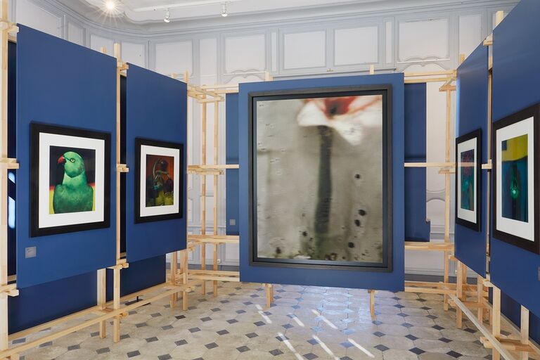 Exposition Sarah Moon au Jardin des plantes