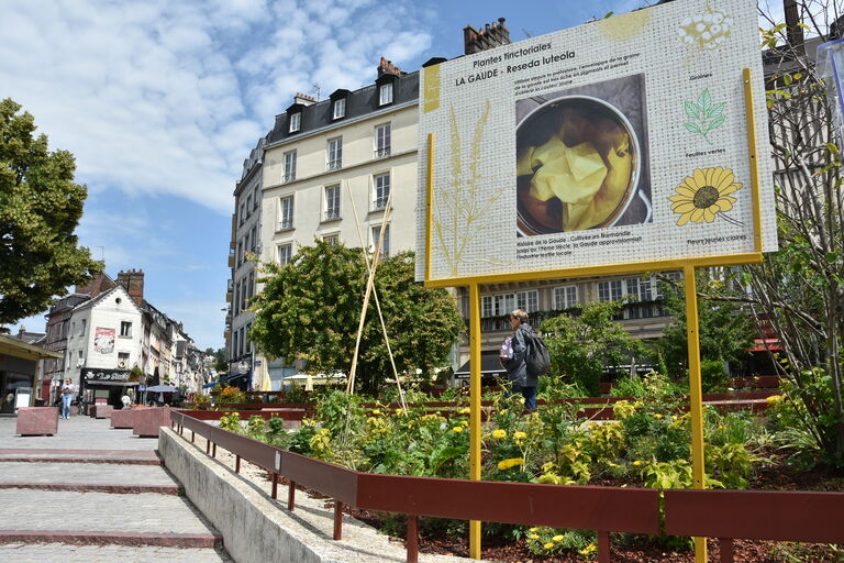 Installation du fleurissement estival fin mai 