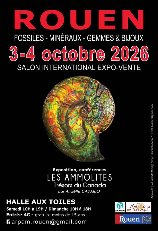Salon fossiles minéraux