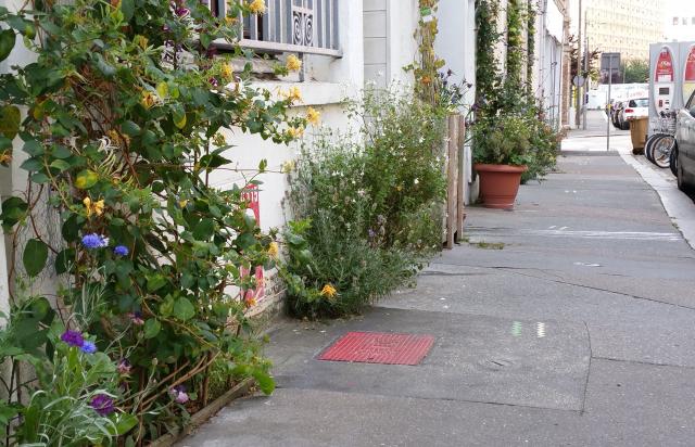 Le dispositif "Fil vert" ou comment changer la physionomie d'un trottoir