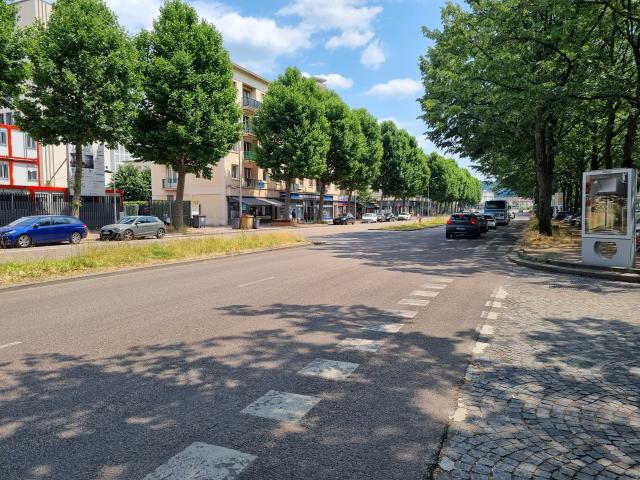 Photo du cours Clemenceau prise du trottoir avec vue sur l'asphalte et le terre plein central qui longe le parking et les arbres en feuilles  