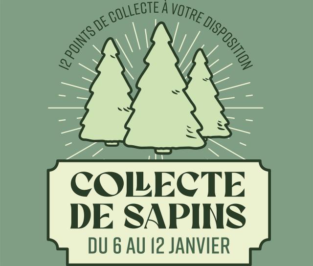 Affiche "Collecte de sapins 2025"