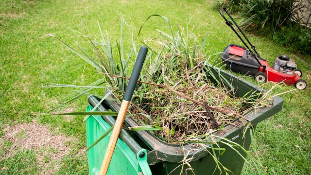 Reprise de la collecte des déchets végétaux Générique collecte déchets végétaux