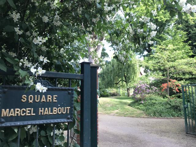Un nouvel horizon va bientôt s'offrir au square Marcel-Halbout