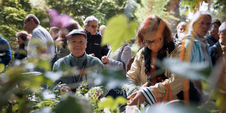 17e festival Graines de jardin